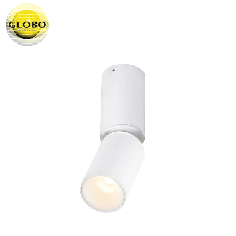 Spotlight Luwin