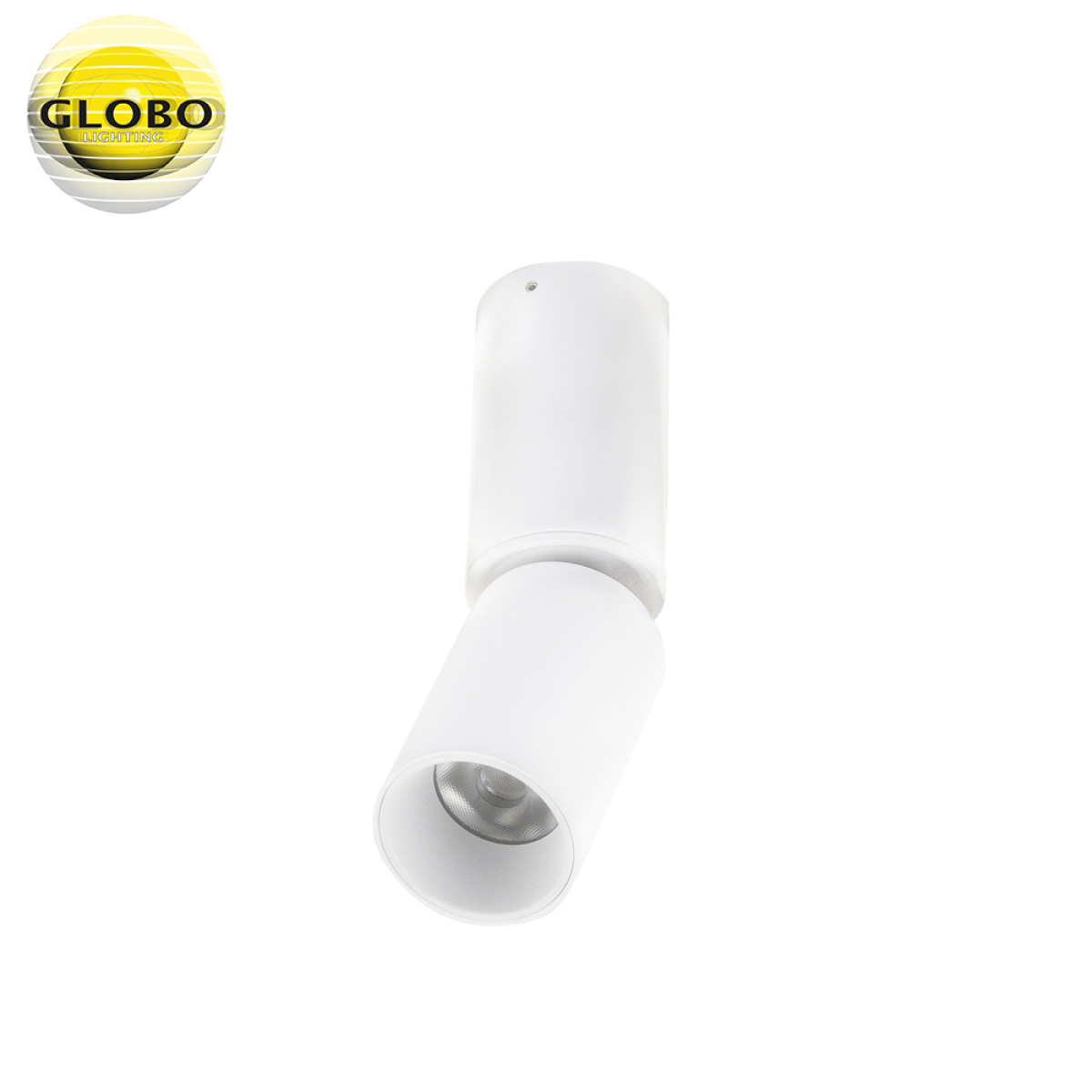 Spotlight Luwin - Figura 2